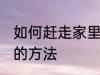 如何赶走家里的老鼠 赶走家里的老鼠的方法