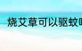 烧艾草可以驱蚊吗 烧艾草能驱蚊吗