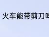 火车能带剪刀吗 火车可不可以带剪刀