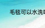 毛毯可以水洗吗 毛毯能水洗吗