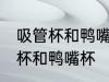 吸管杯和鸭嘴杯的区别 如何区别吸管杯和鸭嘴杯