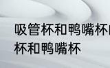 吸管杯和鸭嘴杯的区别 如何区别吸管杯和鸭嘴杯