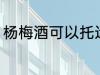杨梅酒可以托运吗 杨梅酒能不能托运