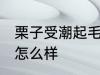 栗子受潮起毛怎么办 栗子受潮起毛会怎么样