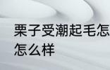 栗子受潮起毛怎么办 栗子受潮起毛会怎么样