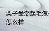 栗子受潮起毛怎么办 栗子受潮起毛会怎么样