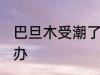 巴旦木受潮了怎么办 巴旦木受潮了咋办
