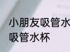 小朋友吸管水杯清洗 如何清洗小朋友吸管水杯
