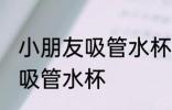 小朋友吸管水杯清洗 如何清洗小朋友吸管水杯