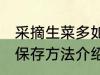 采摘生菜多如何保存能放冰箱吗 生菜保存方法介绍