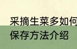 采摘生菜多如何保存能放冰箱吗 生菜保存方法介绍