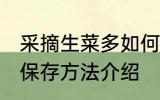采摘生菜多如何保存能放冰箱吗 生菜保存方法介绍