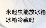 米起虫能放冰箱冷藏吗 米起虫可以放冰箱冷藏吗