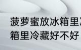 菠萝蜜放冰箱里冷藏好吗 菠萝蜜放冰箱里冷藏好不好