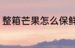 整箱芒果怎么保鲜 怎么保鲜整箱芒果