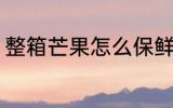 整箱芒果怎么保鲜 怎么保鲜整箱芒果
