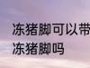 冻猪脚可以带上高铁吗 坐高铁能带冰冻猪脚吗