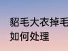 貂毛大衣掉毛怎么处理 貂毛大衣掉毛如何处理