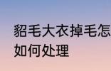 貂毛大衣掉毛怎么处理 貂毛大衣掉毛如何处理