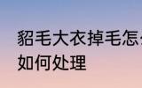 貂毛大衣掉毛怎么处理 貂毛大衣掉毛如何处理