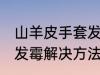 山羊皮手套发霉了怎么办 山羊皮手套发霉解决方法