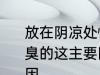 放在阴凉处慢慢晾干的衣服闻起来臭臭的这主要因为 衣服闻起来臭臭的原因