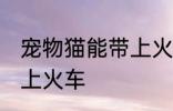 宠物猫能带上火车吗 宠物猫能不能带上火车