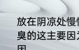 放在阴凉处慢慢晾干的衣服闻起来臭臭的这主要因为 衣服闻起来臭臭的原因