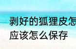 剥好的狐狸皮怎么保存 剥好的狐狸皮应该怎么保存