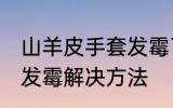 山羊皮手套发霉了怎么办 山羊皮手套发霉解决方法
