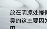 放在阴凉处慢慢晾干的衣服闻起来臭臭的这主要因为 衣服闻起来臭臭的原因