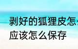 剥好的狐狸皮怎么保存 剥好的狐狸皮应该怎么保存