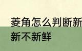 菱角怎么判断新不新鲜 如何判断菱角新不新鲜